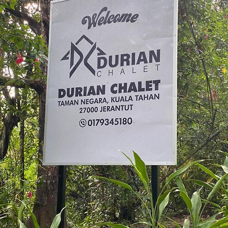 Durian Chalet Kuala Tahan Exteriör bild