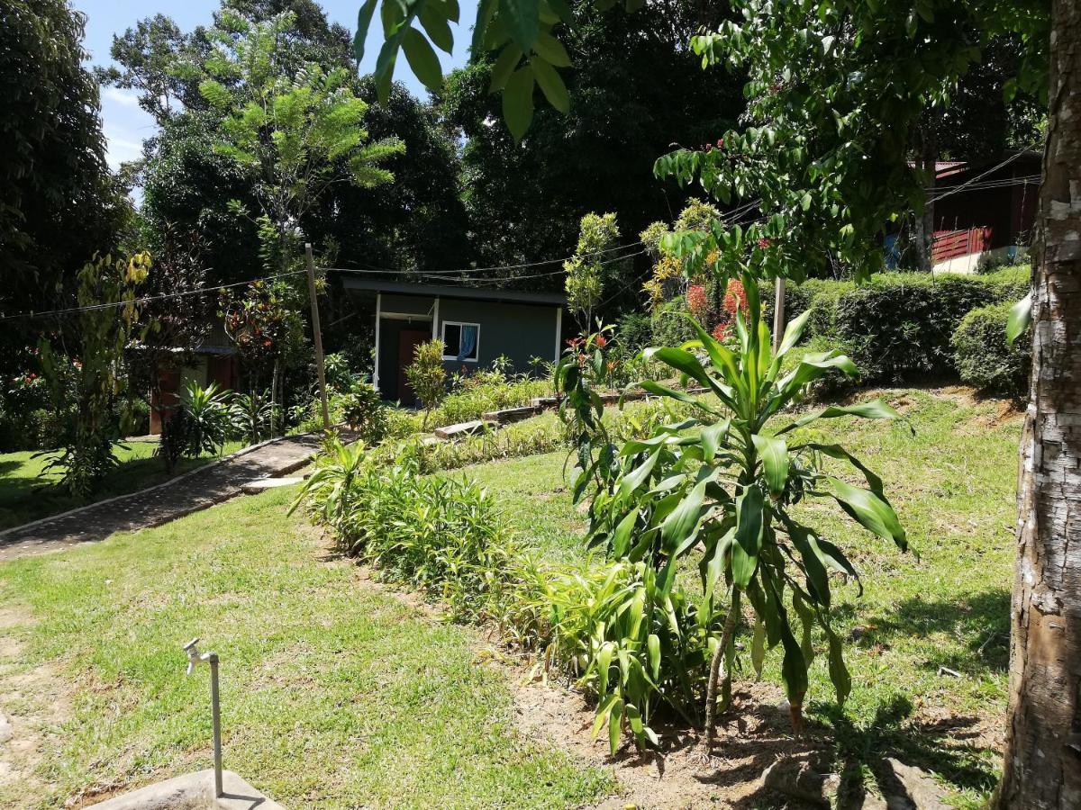 Durian Chalet Kuala Tahan Exteriör bild