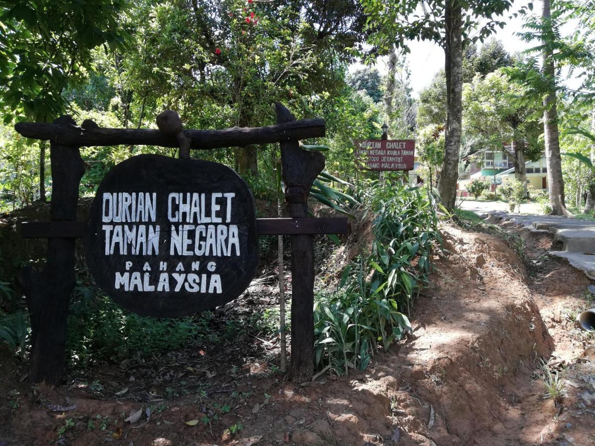 Durian Chalet Kuala Tahan Exteriör bild