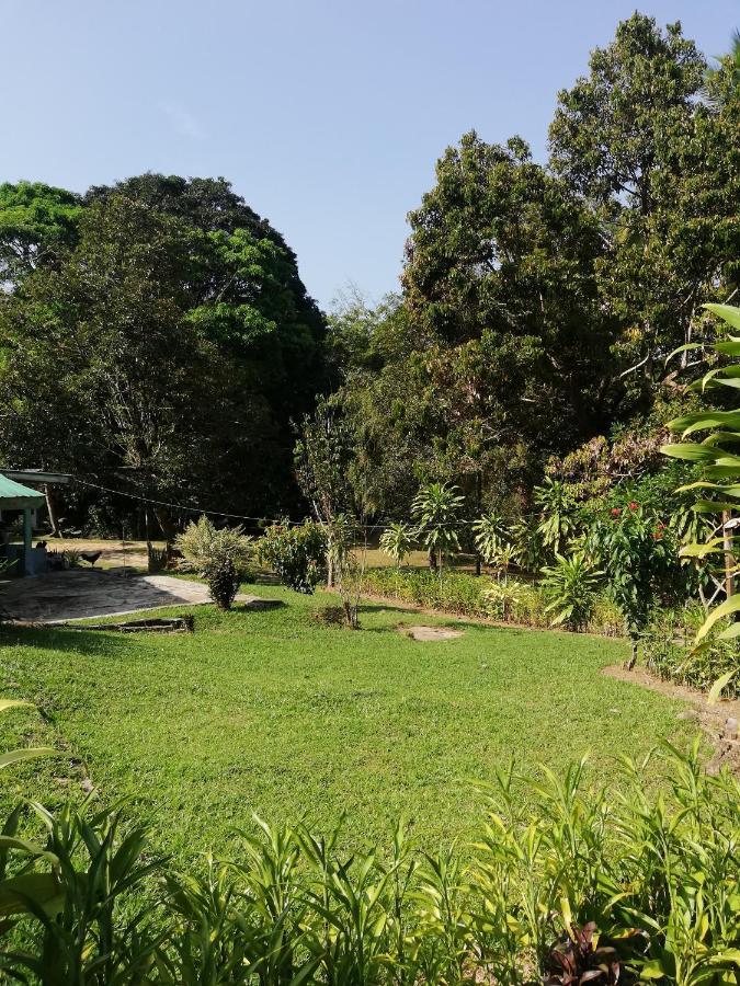 Durian Chalet Kuala Tahan Exteriör bild