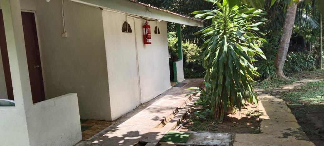 Durian Chalet Kuala Tahan Exteriör bild