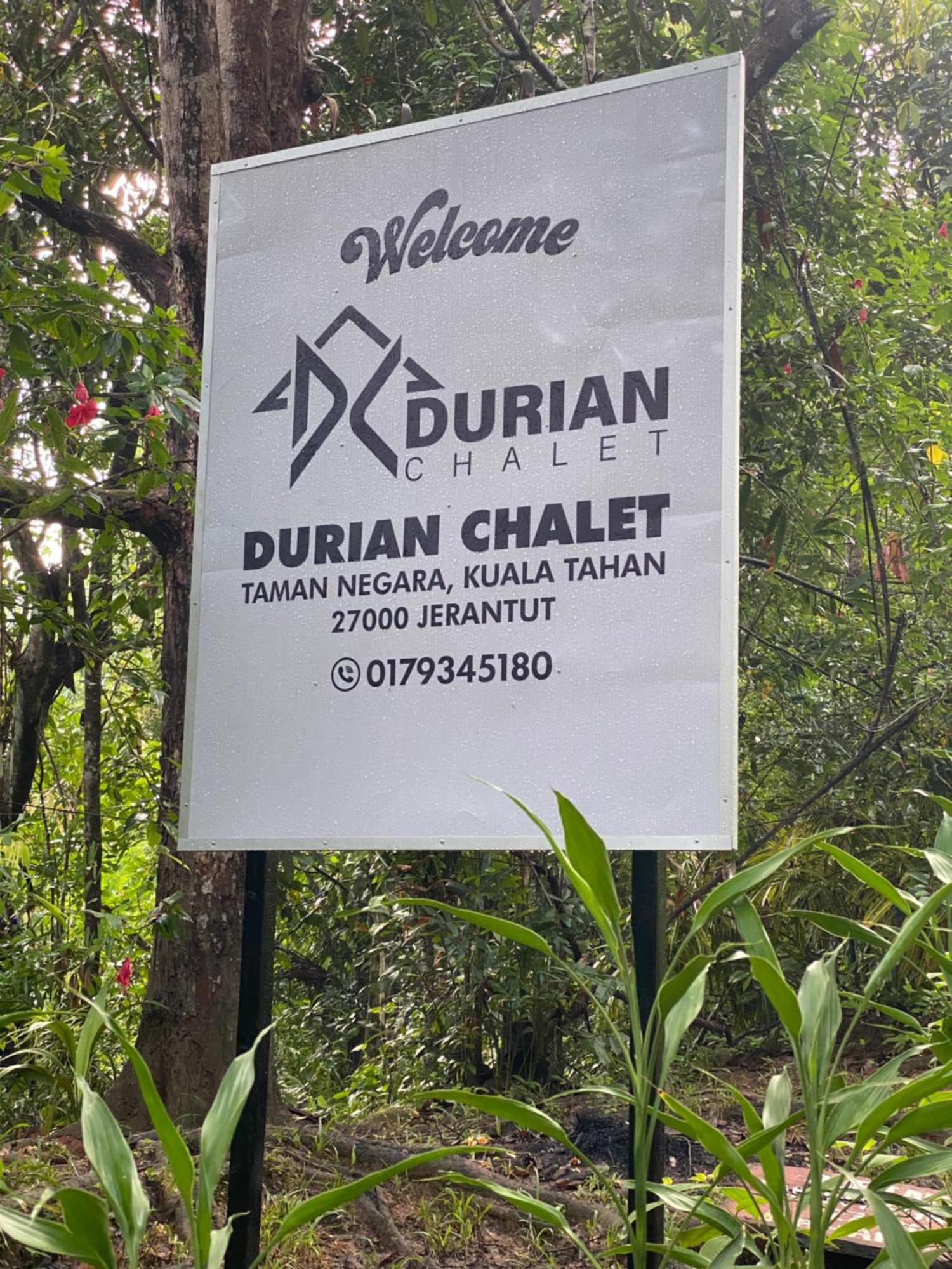 Durian Chalet Kuala Tahan Exteriör bild