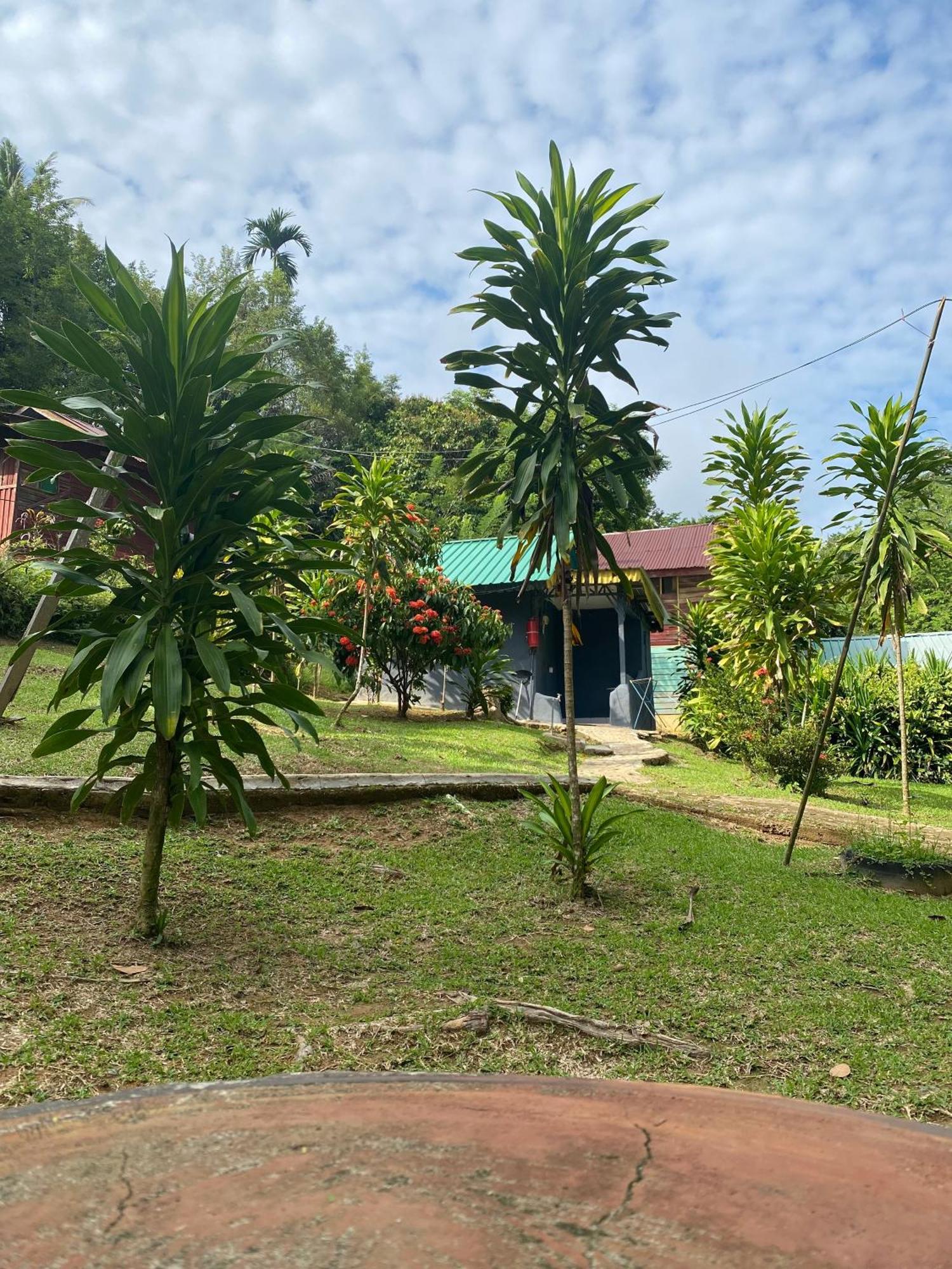Durian Chalet Kuala Tahan Exteriör bild